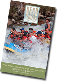 2008-2009 KRT Catalog PDF